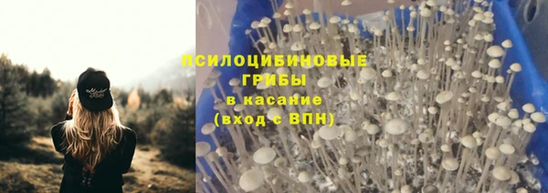 COCAINE Богданович