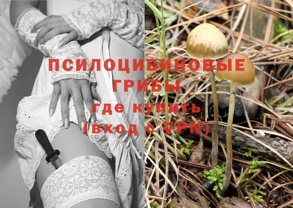COCAINE Богданович