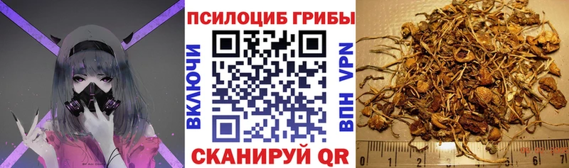 Купить закладки  Сатка  Галлюциногенные грибы Psilocybe 